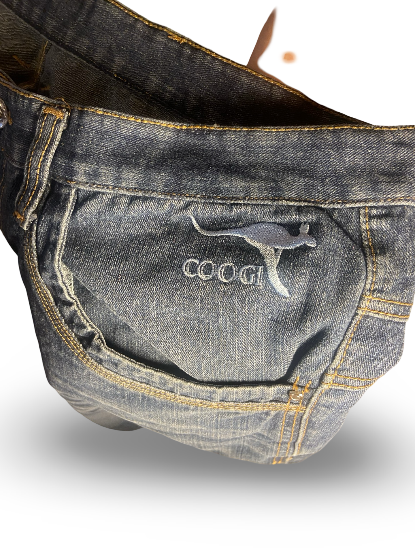Coogi Jeans (40W)